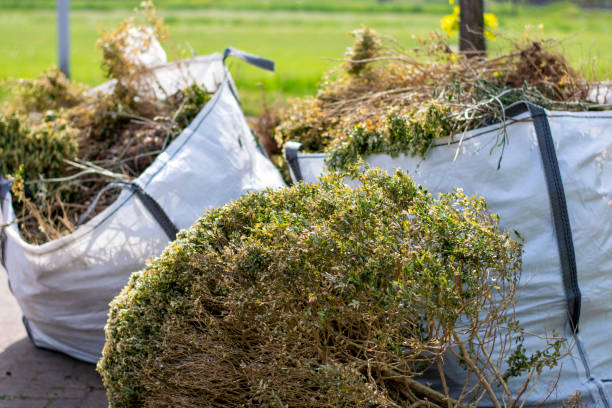 Full-Service Junk Removal in Nicholasville, KY
